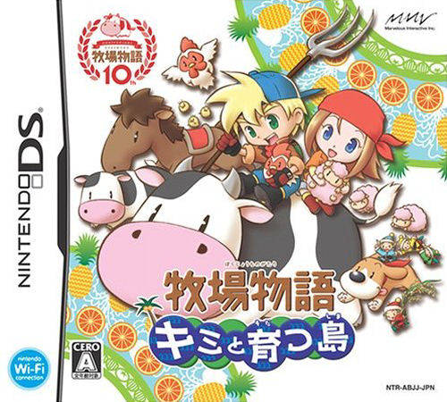 Japanese Game Box